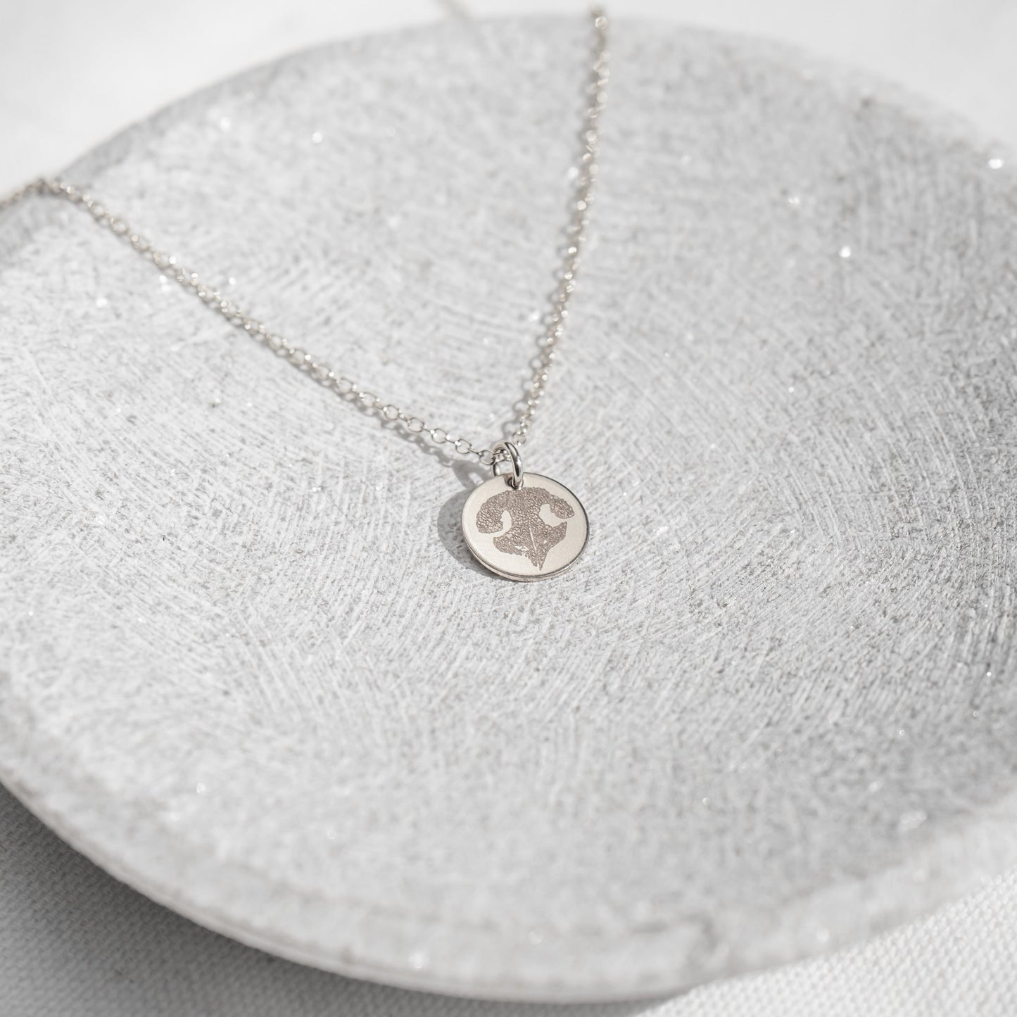 14k White Gold - Image Disc Necklace - Pets Pendant